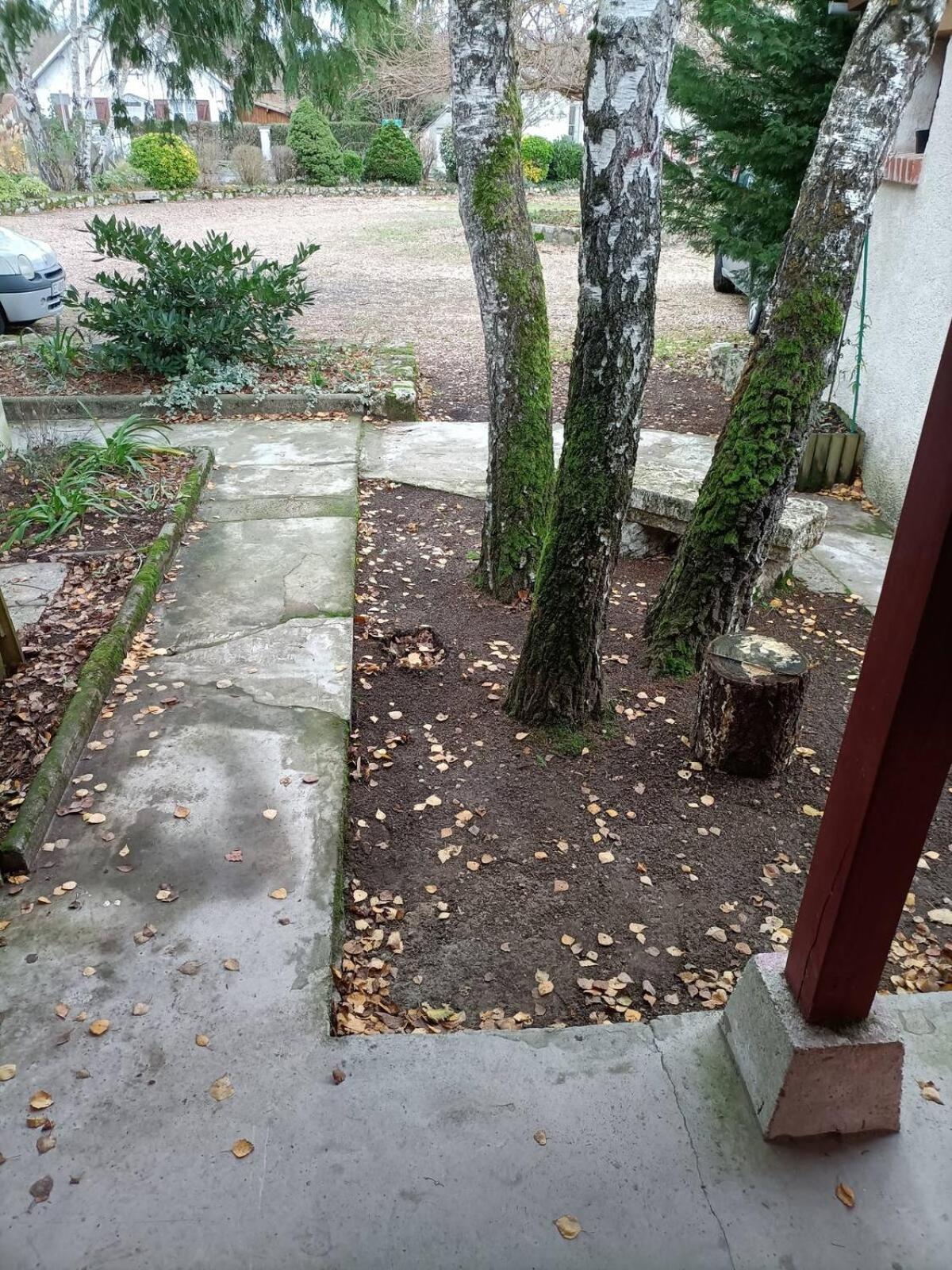 Apartament L'Escale Solognote Tour-en-Sologne Zewnętrze zdjęcie